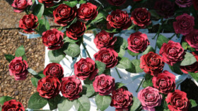 Lori Mohr Pedersen made these commemorative roses using pine cones to celebrate Our Lady of the Rosary Mass at Crozet Baptist Church in Crozet VA Sun. Oct. 4, 2020.